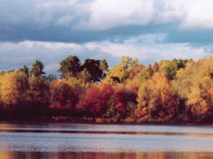 Walden ashram